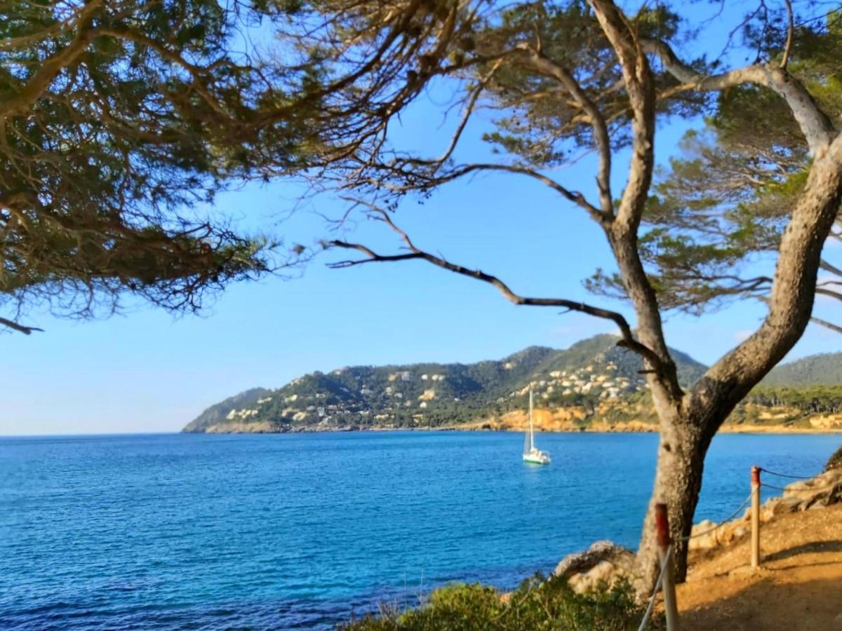 Apartment 4B Formentor Sea View & Pool In Canamel カニャメル エクステリア 写真